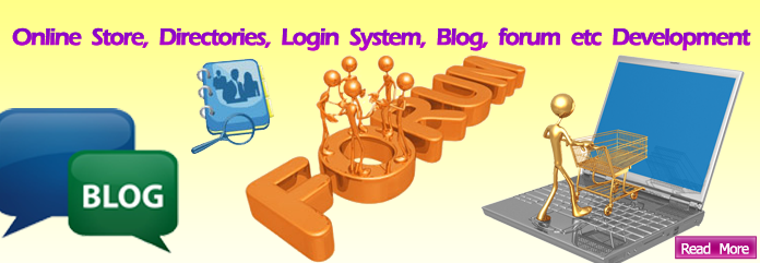 web online software application development service company in delhi