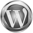 wordpress customization development service company in delhi ncr