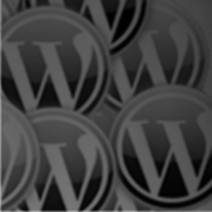 wordpress theme & plugin development development service company in delhi ncr