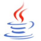 java software development services in delhi